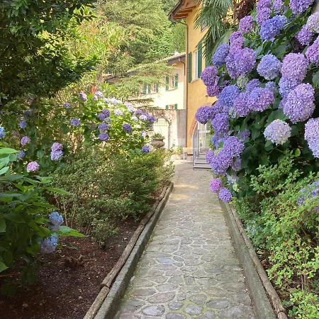 Rosa Dei Venti - View & 贝拉诺